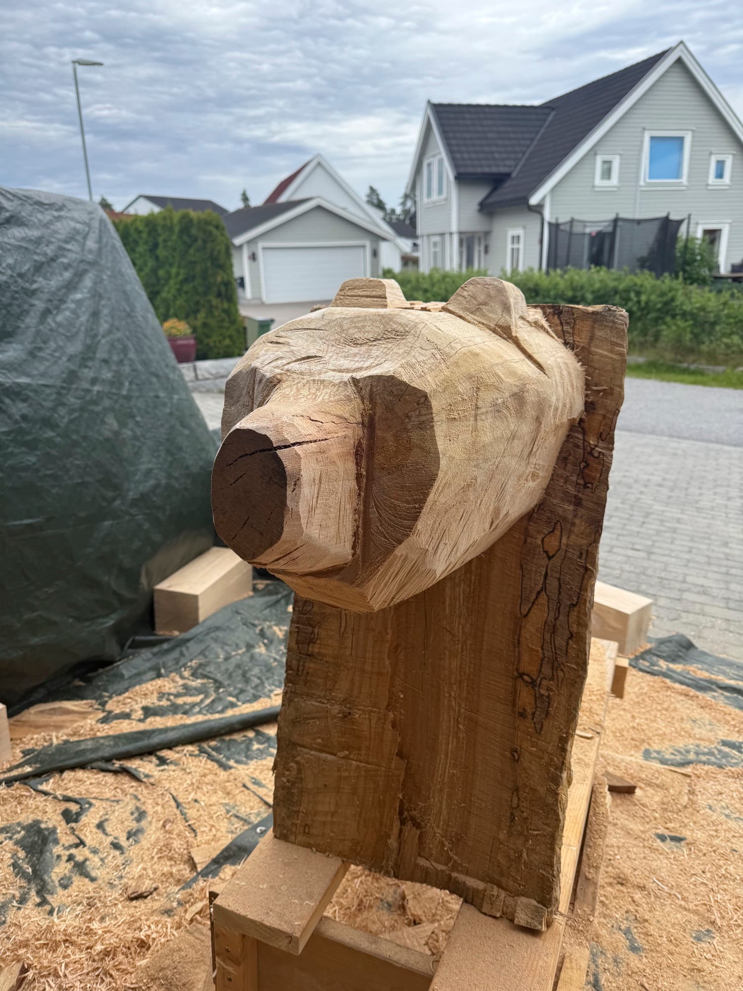 Grovforming med motorsag